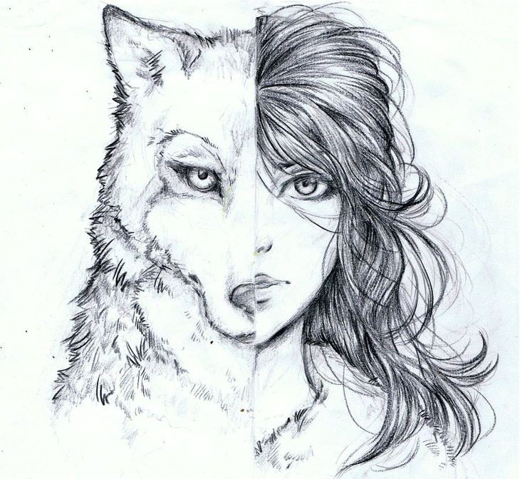 Wolf Face Sketch At Paintingvalley Com Explore Collection Of