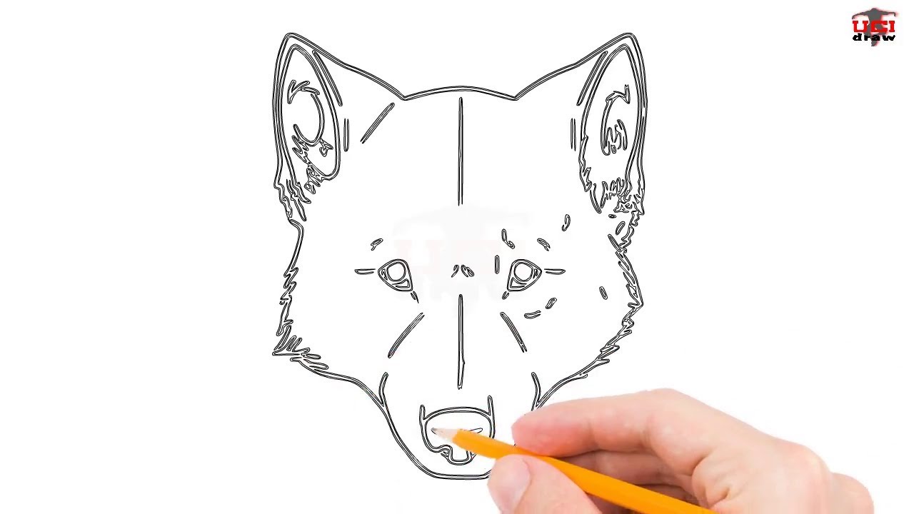 1280x720 How To Draw A Wolf Head Step By Step Easy For Beginners Simple - Wolf Head Sketch