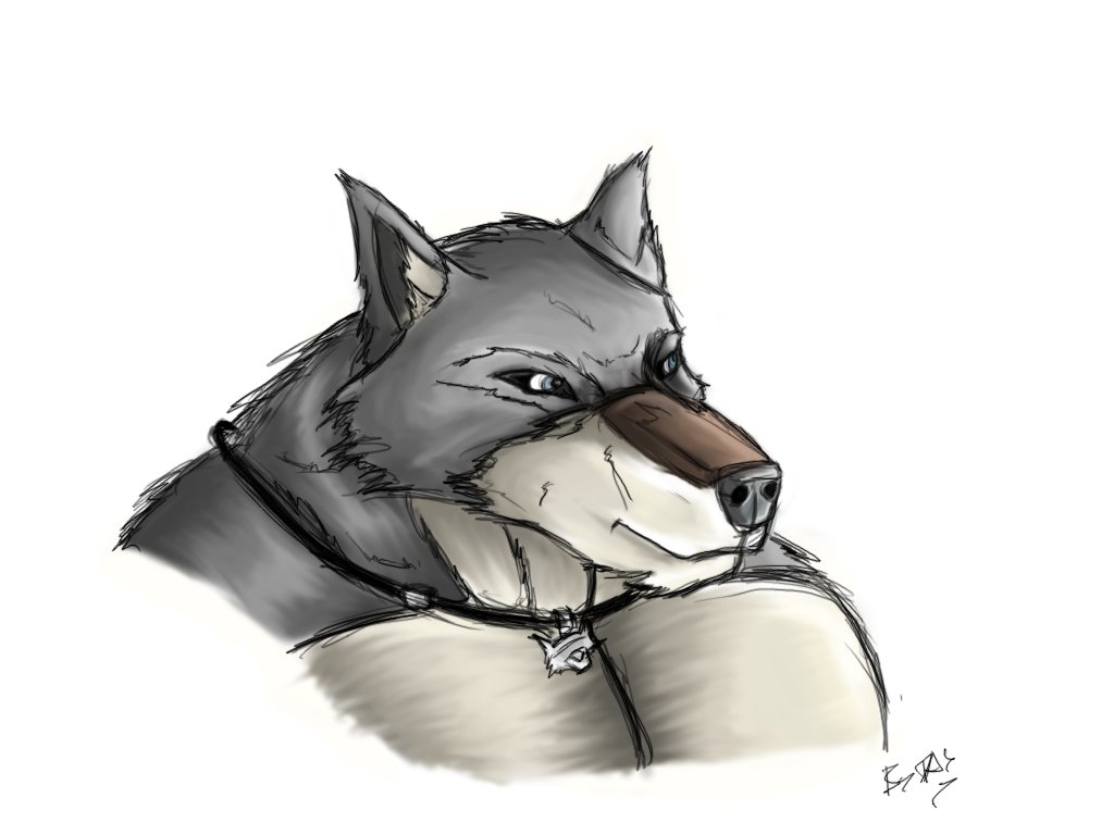1024x768 Quick Wolf Head Sketch By Ims360 - Wolf Head Sketch
