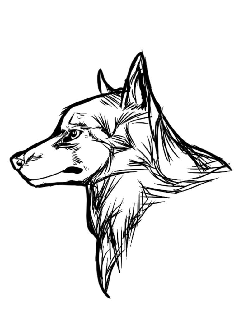 768x1024 Wolf Head Sketch Amino - Wolf Head Sketch