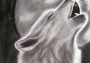 300x210 Sketch Of Wolf Howling - Wolf Howling At Moon Sketch