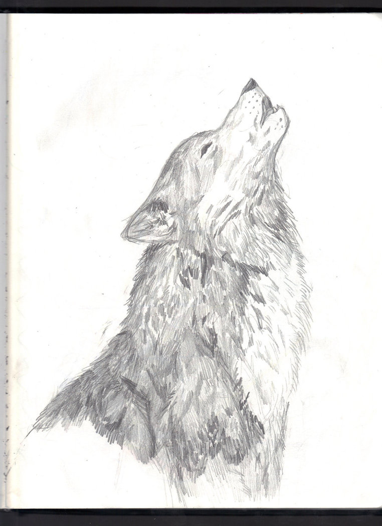 Wolf Howling At Moon Sketch at PaintingValley.com | Explore collection ...