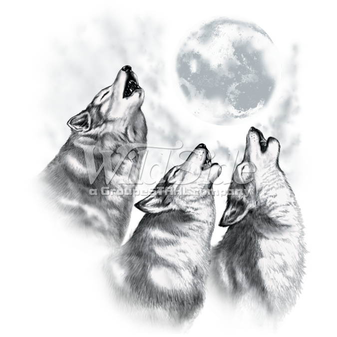 Wolf Howling At Moon Sketch at PaintingValley.com | Explore collection