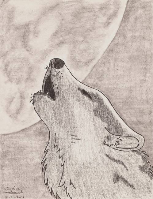 499x650 Wolf Howling - Wolf Howling At Moon Sketch