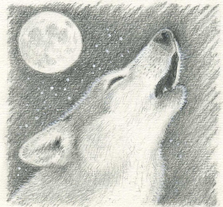 927x861 Sketch Of Wolf Howling - Wolf Howling Sketch