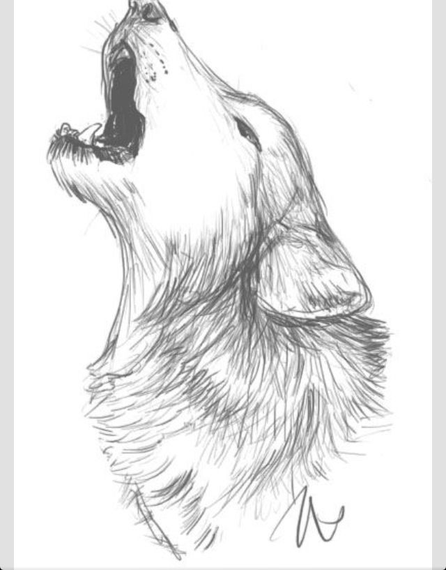 640x817 Wolf Howling Wolf Sketch Wolf Art Art Inspiration In 2018 - Wolf Howling Sketch