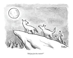 300x239 Wolves Howling Drawings Fine Art America - Wolf Howling Sketch