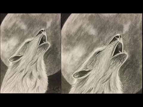480x360 Wolf Howling - Wolf Moon Sketch