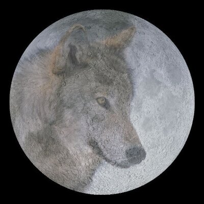 400x400 Wolf Moon (@wolfmoonstore) Twitter - Wolf Moon Sketch
