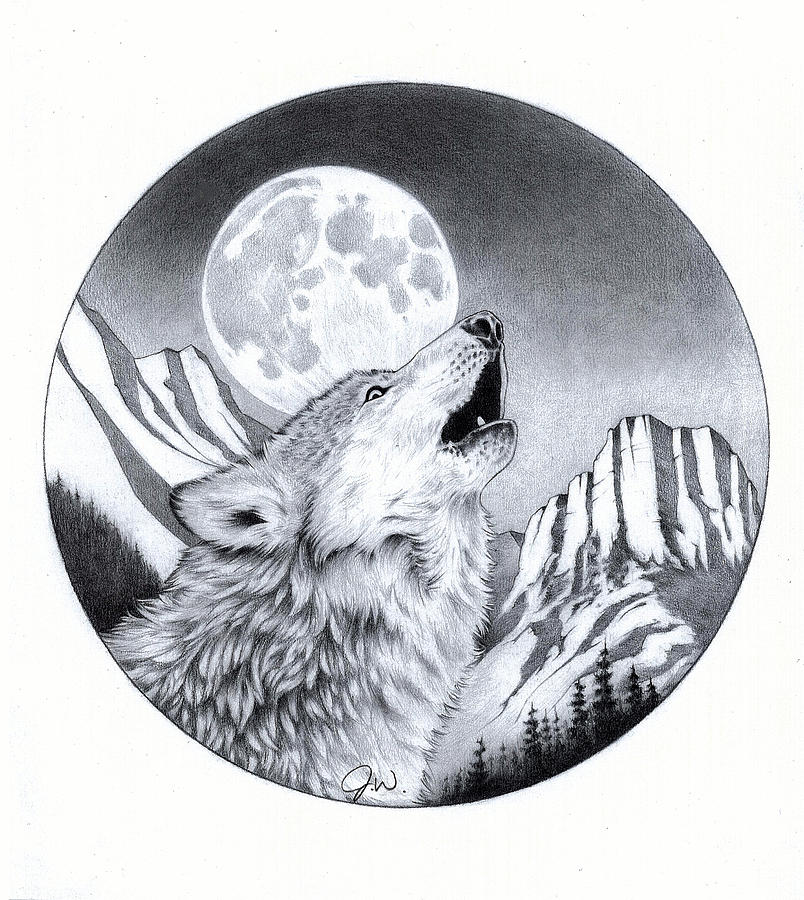 804x900 Wolf Moon Drawings Fine Art America - Wolf Moon Sketch