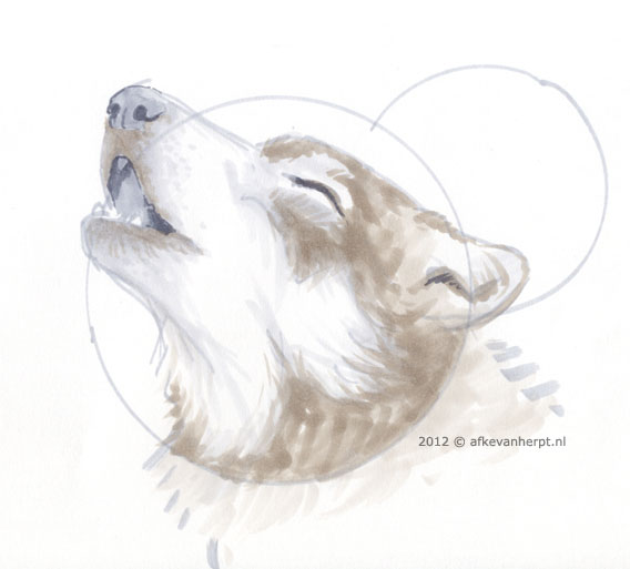 568x513 Sketch Fest! - Wolf Moon Sketch