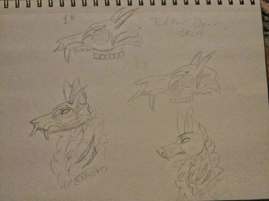 1024x768 New Oc Sketches Wolf Pack Amino Amino - Wolf Pack Sketch