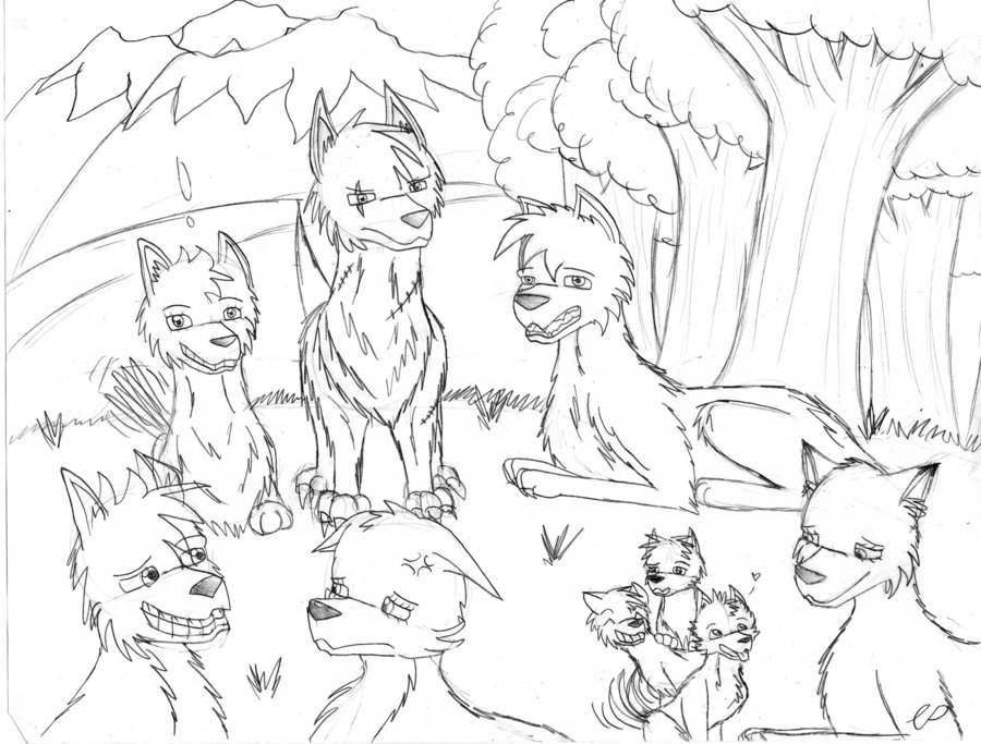 900x683 No Ordinary Wolf Pack - Wolf Pack Sketch
