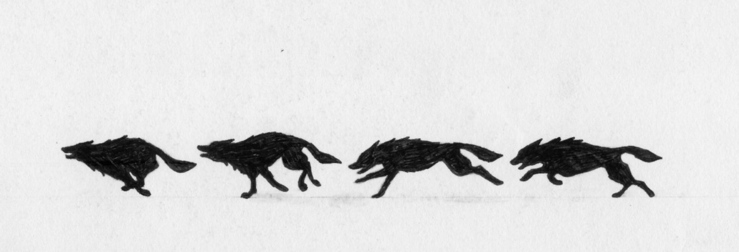 1500x512 Running Wolf Pack Sketch - Wolf Pack Sketch