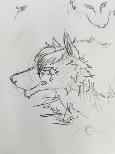 Wolf Pack Sketch at PaintingValley.com | Explore collection of Wolf ...