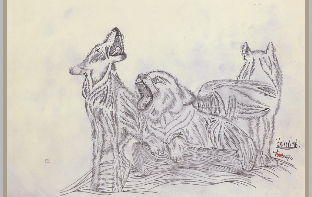 1030x652 Artstation - Wolf Pack Sketch