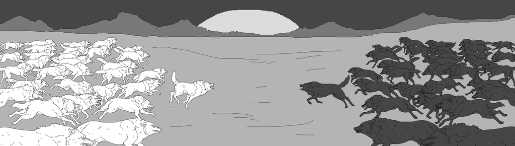 1024x290 Well, This Is Just Another Wolf Pack Sketch. Description From - Wolf Pack Sketch
