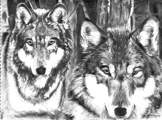 Wolf Pack Sketch at PaintingValley.com | Explore collection of Wolf ...