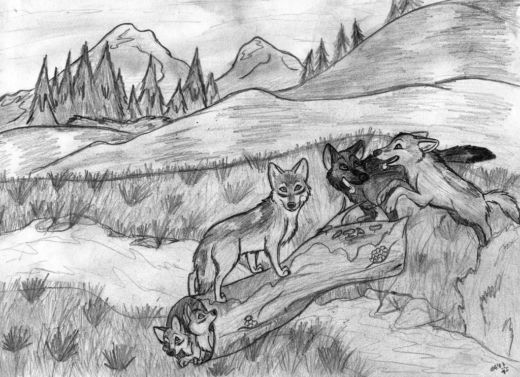 1024x742 Wolf Pack Sketch By Socksthemutt - Wolf Pack Sketch