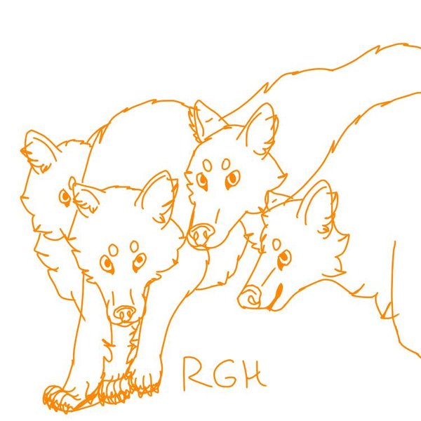 Wolf Pack Sketch At Explore Collection Of Wolf Pack Sketch 5771