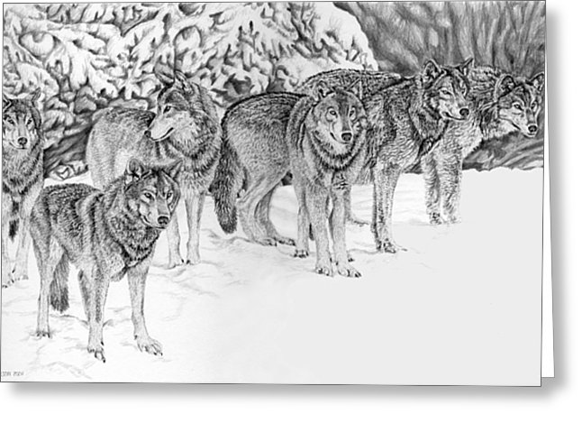 646x469 Wolfpack Drawing By Craig Carlson - Wolf Pack Sketch