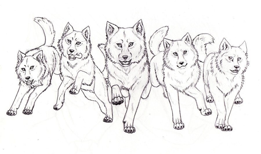 best-of-pack-of-wolves-howling-drawing-images