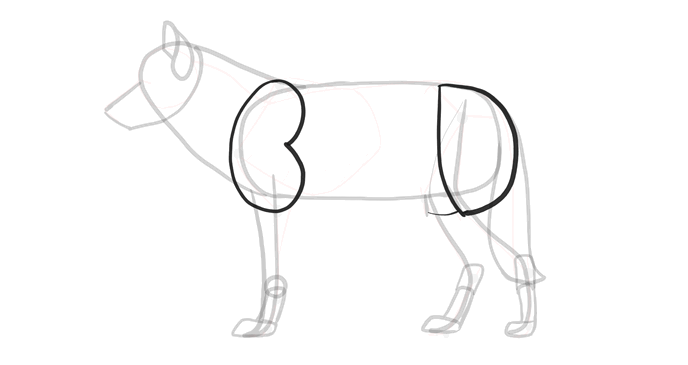 688x365 How To Draw A Wolf Head And Shoulders, Knees And Paws - Wolf Paw Sketch