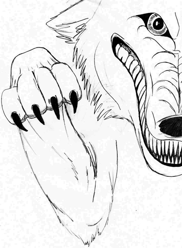 Wolf Paw Sketch At Explore Collection Of Wolf Paw