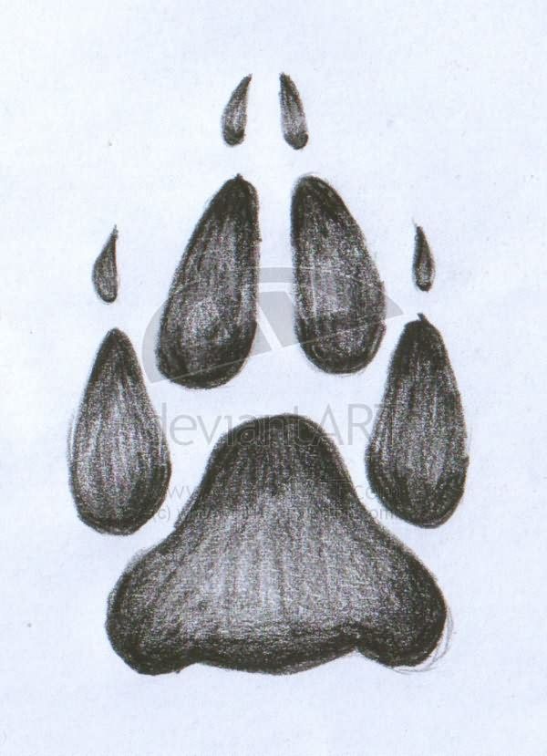 600x829 Wolf Paw Tattoo Sketch - Wolf Paw Sketch