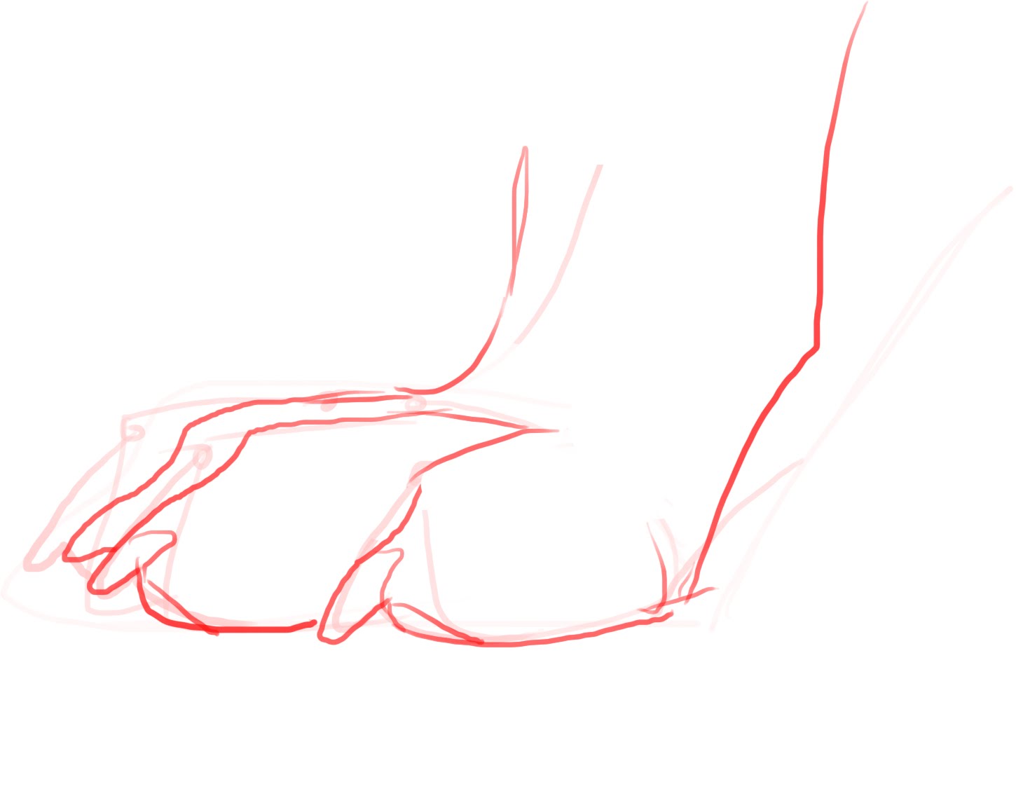 1450x1129 Drawing Wolf Or Canine Paws - Wolf Paw Sketch
