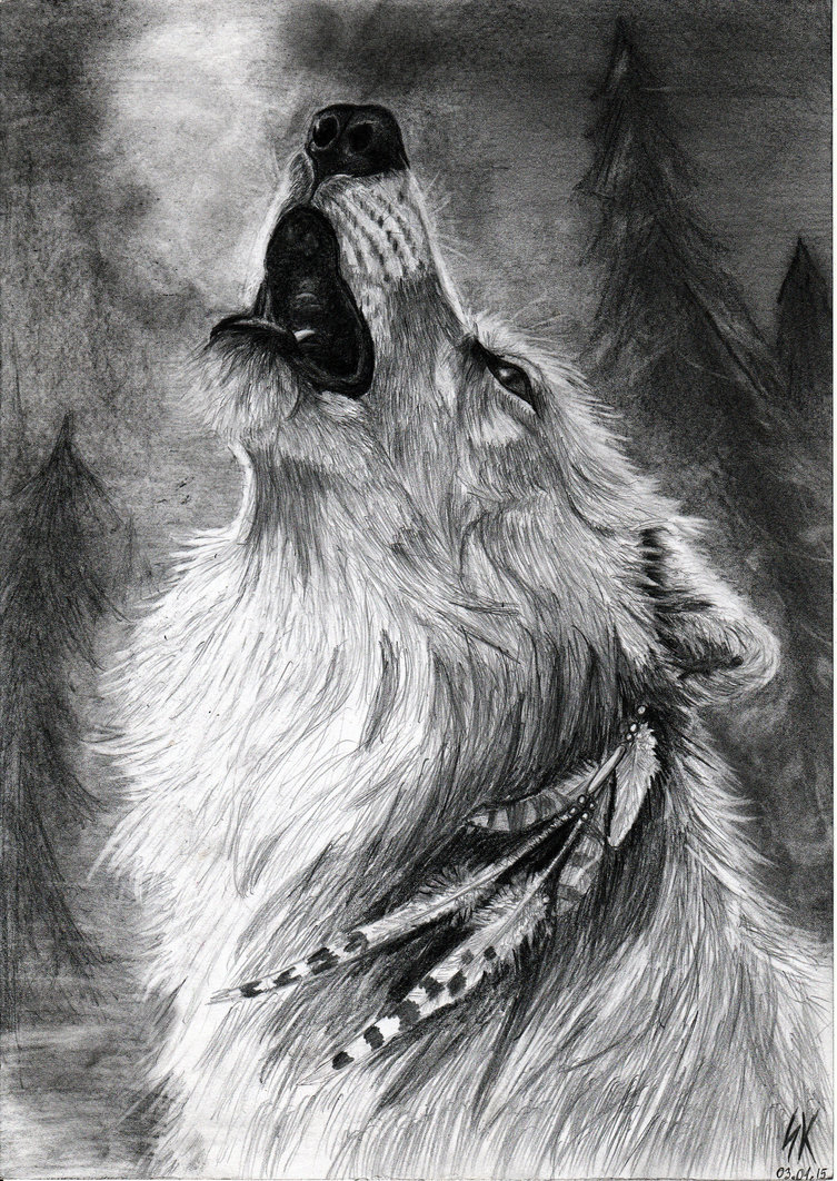 753x1062 Sketch Of Wolf Howling Drawing Of Wolf Howling Howling Wolf Pencil - Wolf Pencil Sketch