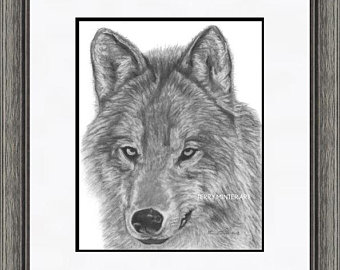 340x270 Wolf Pencil Drawing Etsy - Wolf Pencil Sketch