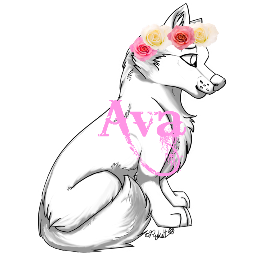 894x894 Image - Wolf Pup Sketch