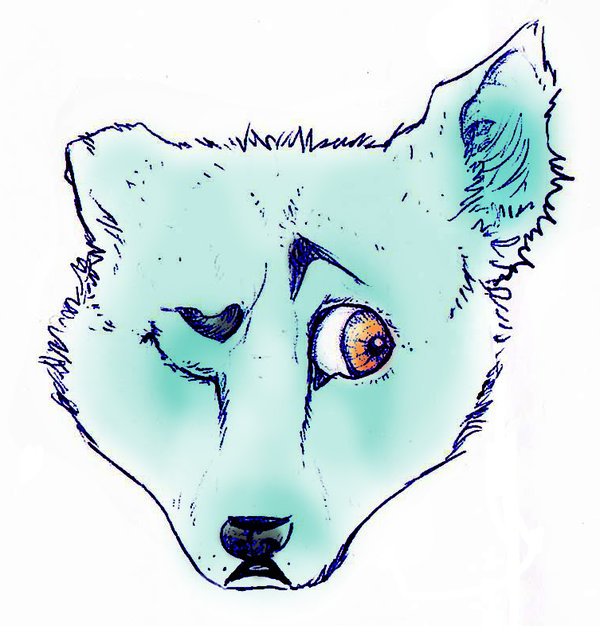 600x626 Sketch - Wolf Pup Sketch