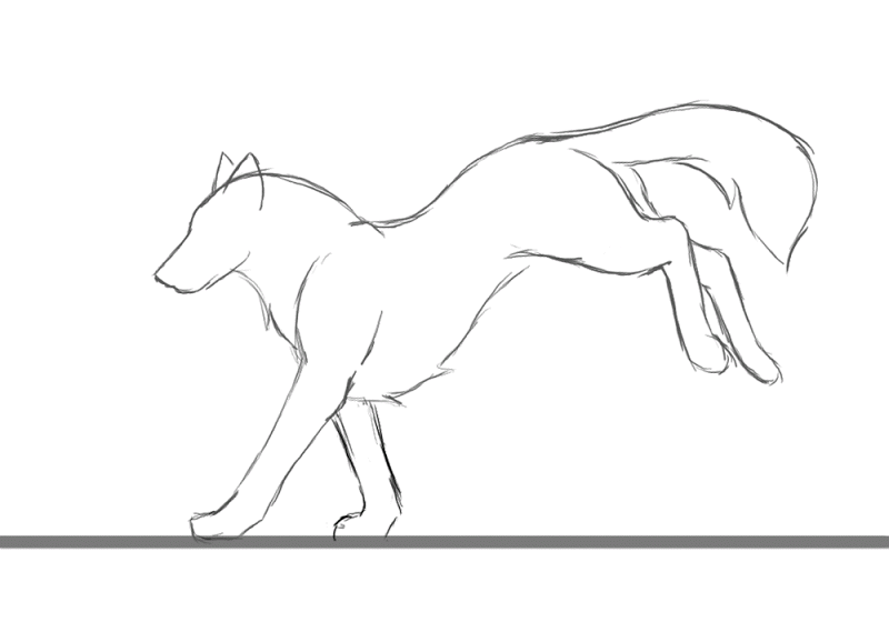 800x560 Resultado De Imagen Para Run Wolf Drawing Drawing - Wolf Running Sketch