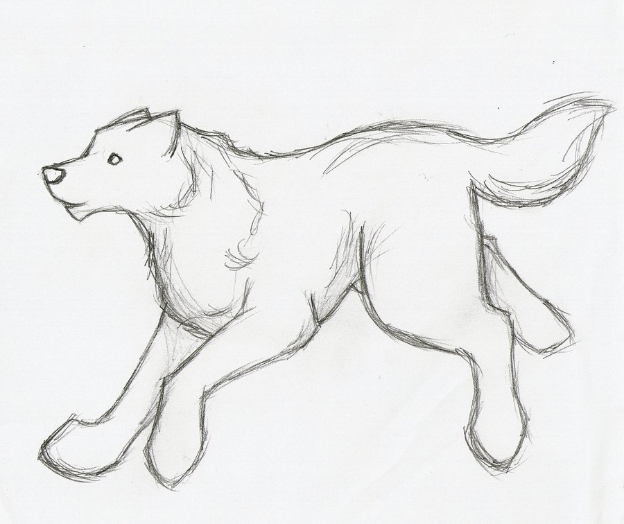 900x756 Running Wolf Sketch By Azulamoonwolf - Wolf Running Sketch