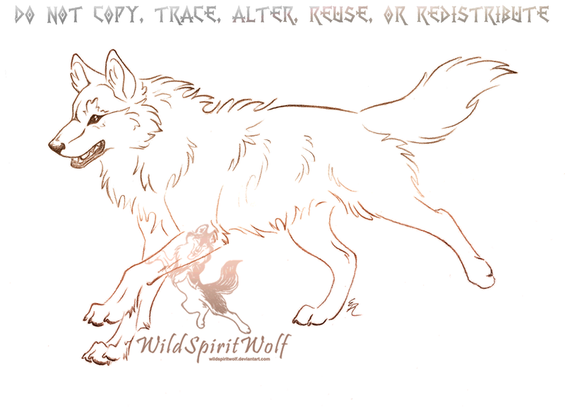 800x576 Running Wolf Sketch By Wildspiritwolf - Wolf Running Sketch