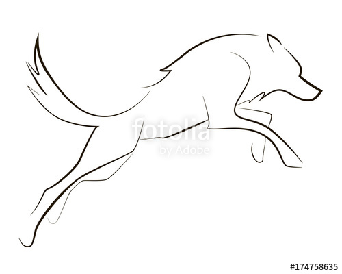 500x400 Running Black Line Wolf On White Background. Hand Drawing Vector - Wolf Running Sketch