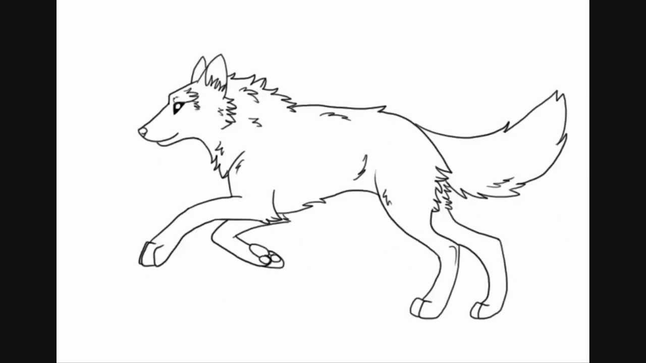 1280x720 Wolf Running Animation - Wolf Running Sketch