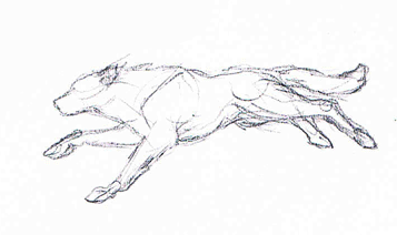357x212 Wolf Running By Monikazagrobelna - Wolf Running Sketch