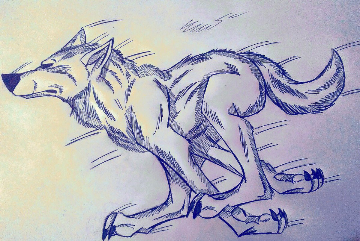 1200x805 On Twitter Running Wolf - Wolf Running Sketch