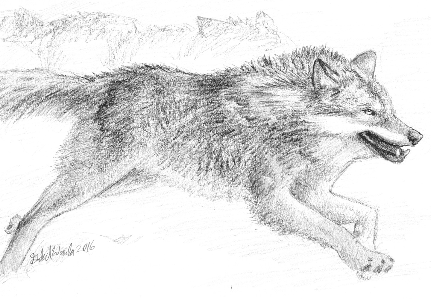 Wolf Running Sketch at PaintingValley.com | Explore collection of Wolf ...