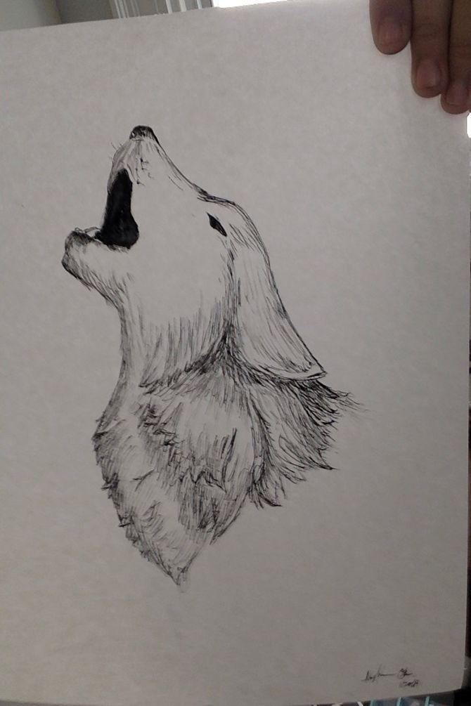 670x1005 How To Draw A Realistic Wolf (With Pictures) - Wolf Sketch