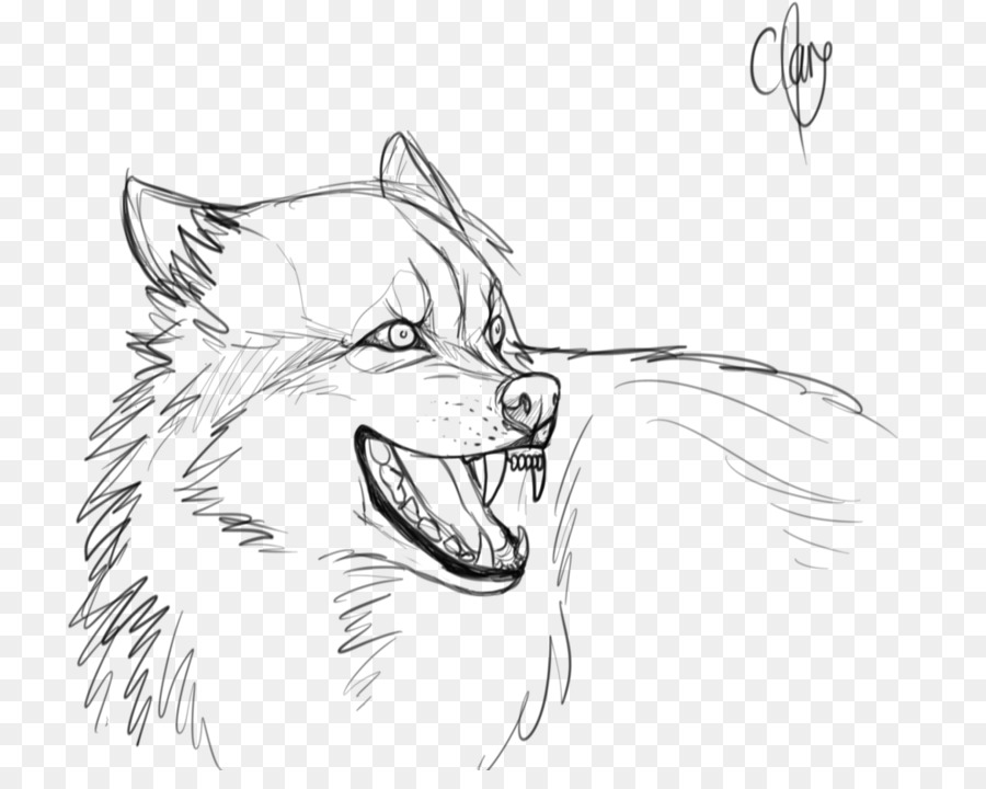 900x720 Gray Wolf Snout Line Art Drawing Sketch - Wolf Sketch Art
