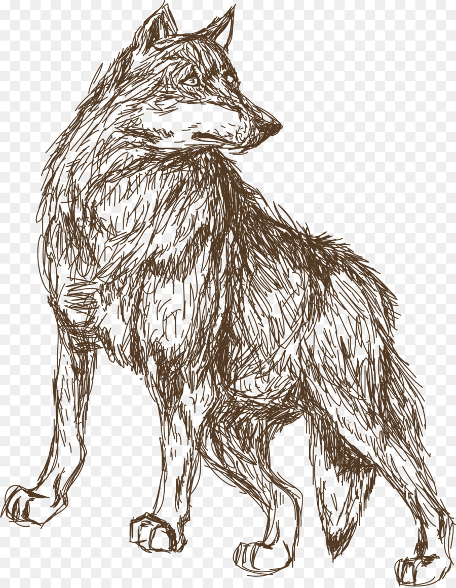 Wolf Sketch Art at PaintingValley.com | Explore collection of Wolf ...