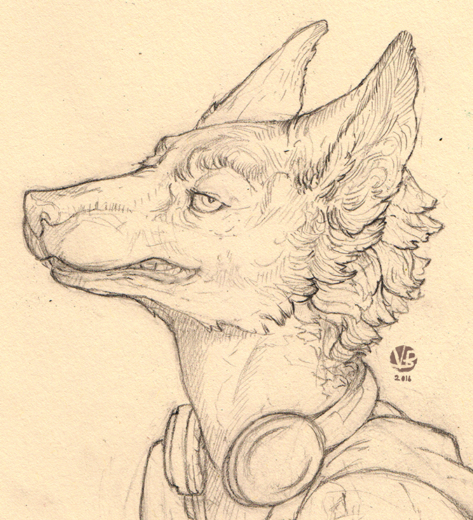 675x742 Wolf Sketch By Nimphradora - Wolf Sketch Art