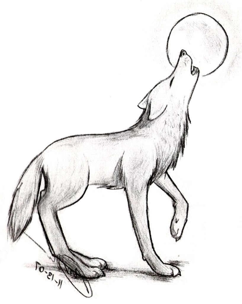 Wolf Sketch Easy at Explore