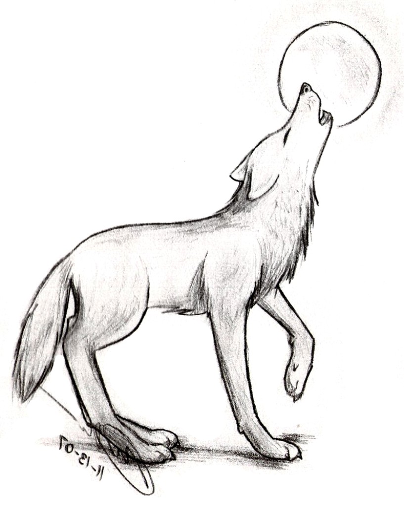 Wolf Sketch Easy at Explore collection of Wolf