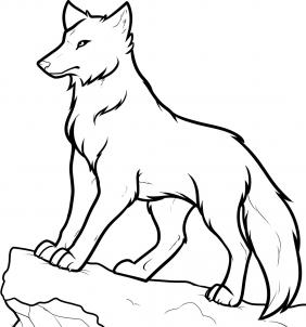 282x302 Wolf Drawing - Wolf Sketch Easy