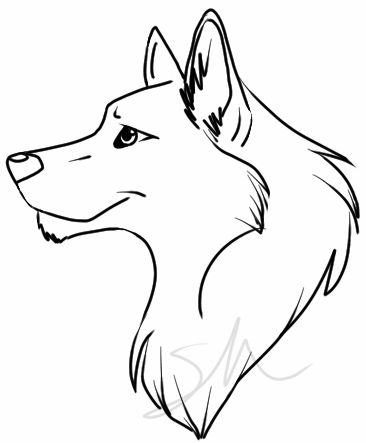 366x443 Easy Wolf Drawing - Wolf Sketch Easy